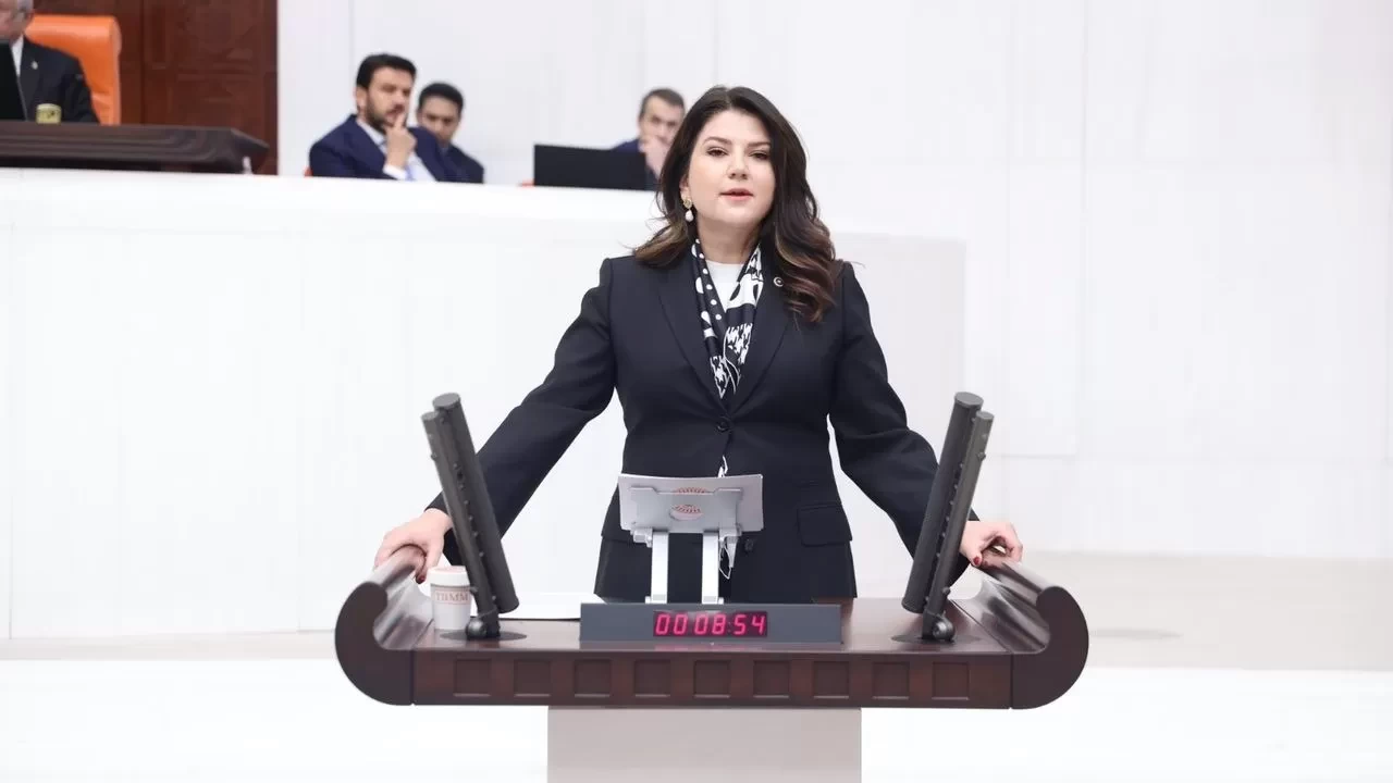 MHP'li Yılık'tan Meclis'te dikkat çeken Çankırı konuşması