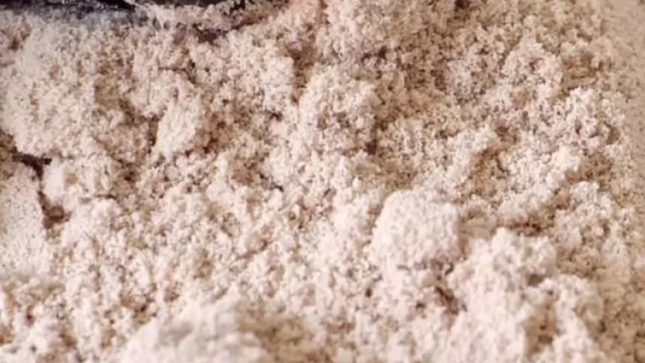 Kilo vermeyi kolaylaştırıyor! Tokluk hissi sağlayan mucize protein