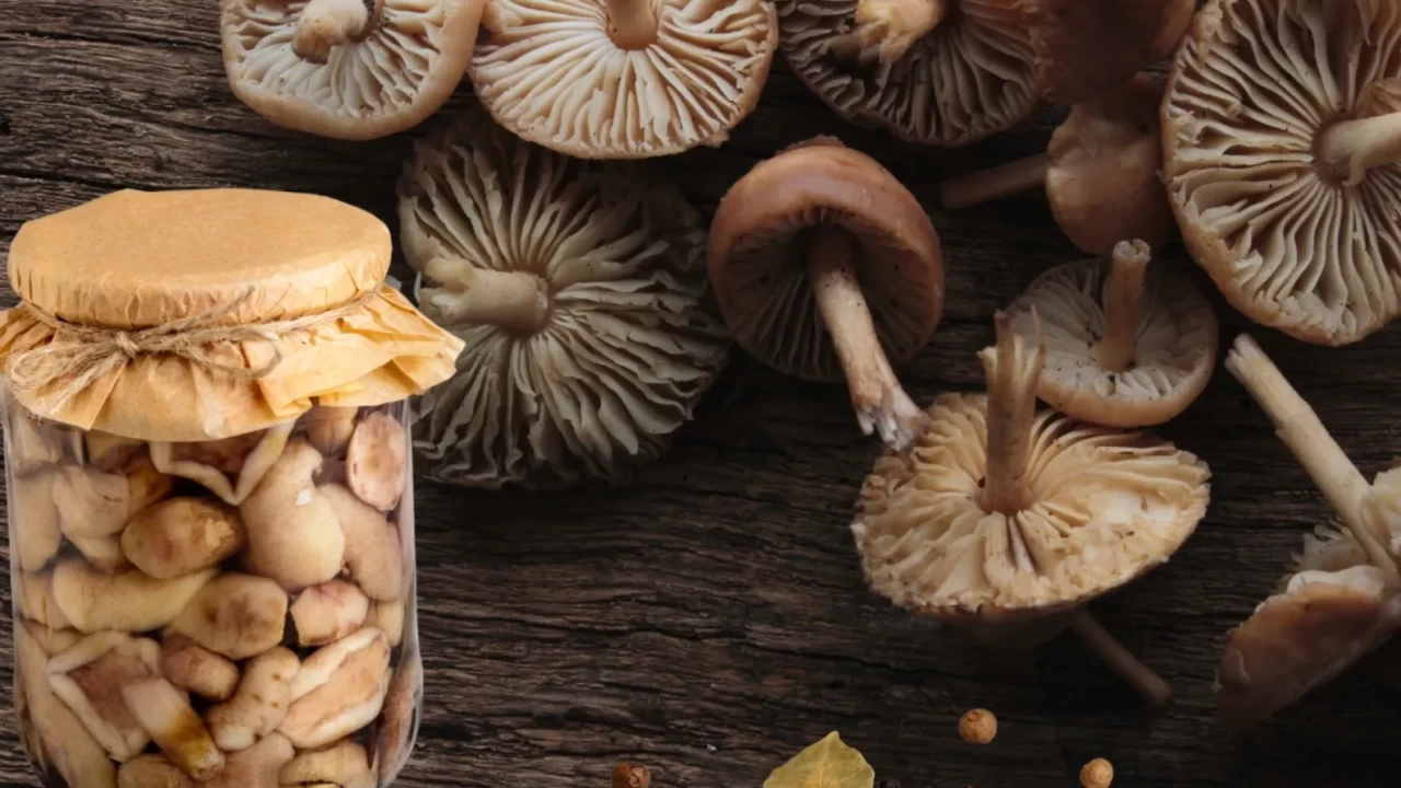 Hazır almayın, kendiniz yapın! Çok konuşulacak kışlık mantarlı konserve tarifi