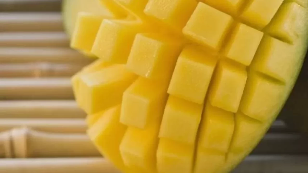 100 gramında sadece 56 kalori var! Kalori düşmanı mangoyu diyet listenize ekleyin