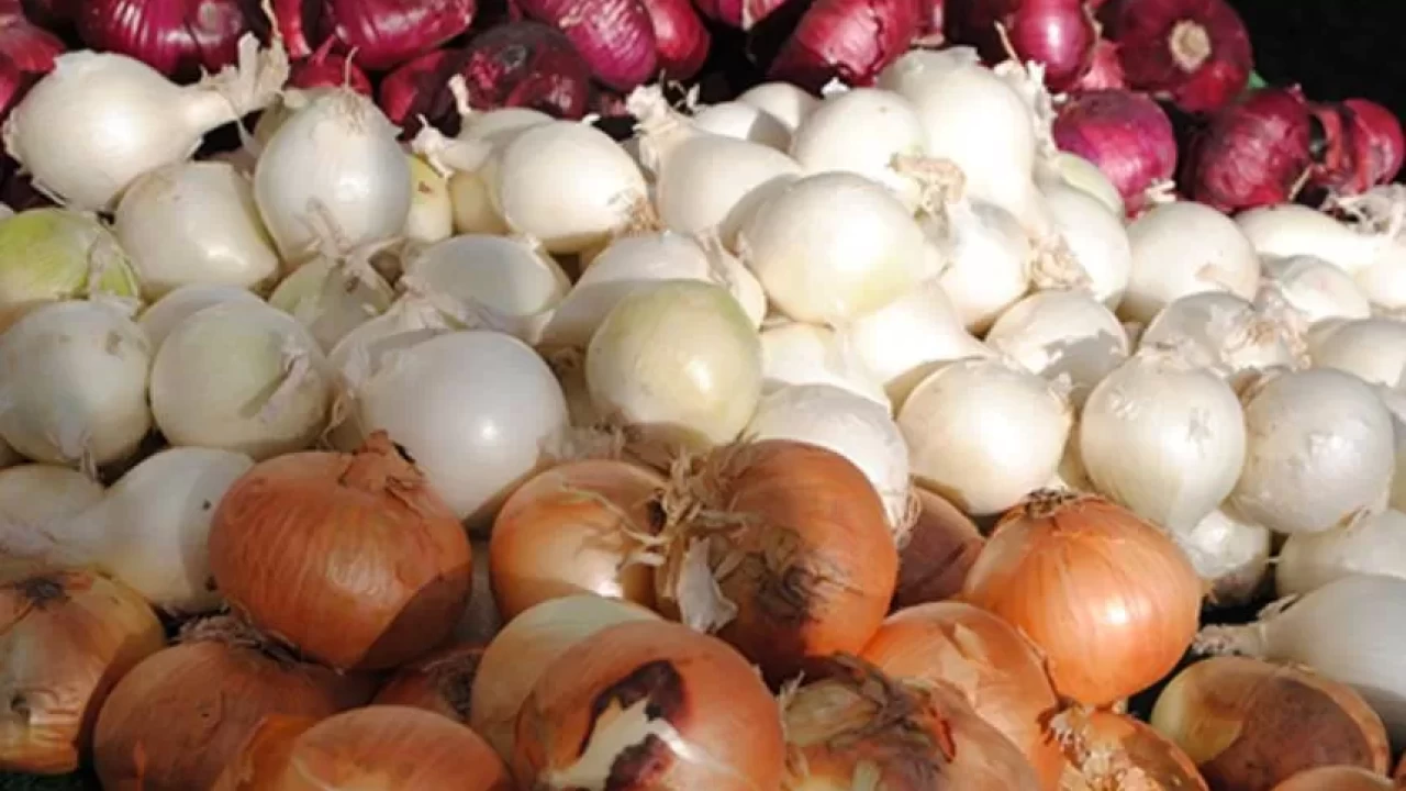 Soğan çeşitleriyle mutfaklarınızı renklendirin