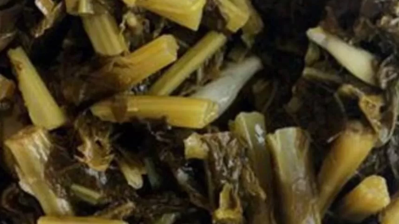 Enfeksiyonlara karşı güçlü koruma! Kara lahana turşusunun faydaları şaşırtıyor