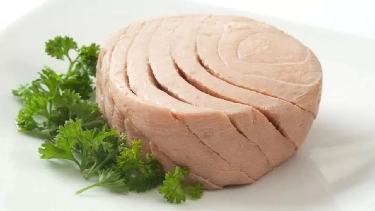 Ton Balığı Kaç Kalori? Ton Balığı Salatası Kaç Kalori?