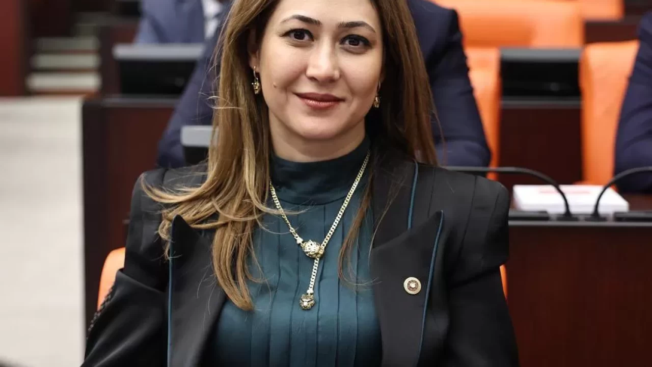 MHP'li Karakoç’tan 'Bayrak olayı' mesajı: Hürriyetimize uzanan emperyalist elin kırılış destanı