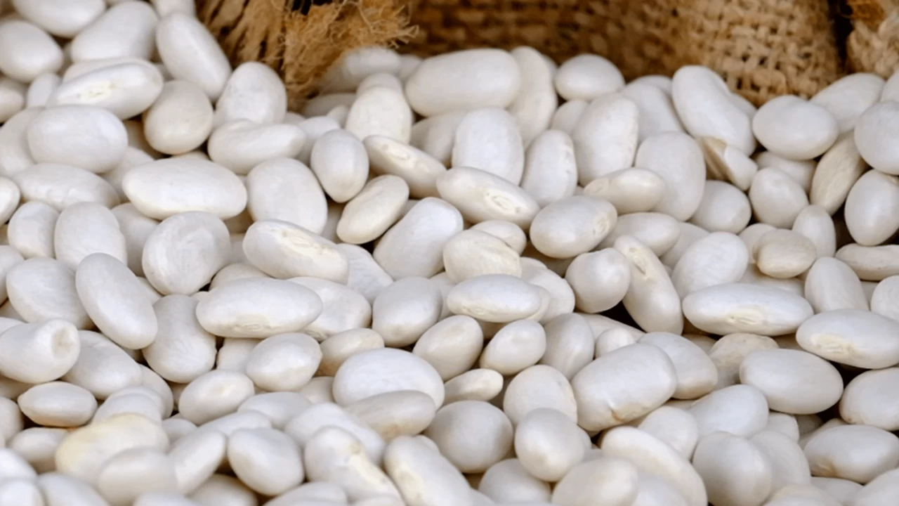 DMM,  kuru fasulye krizi  iddiasını yalanladı