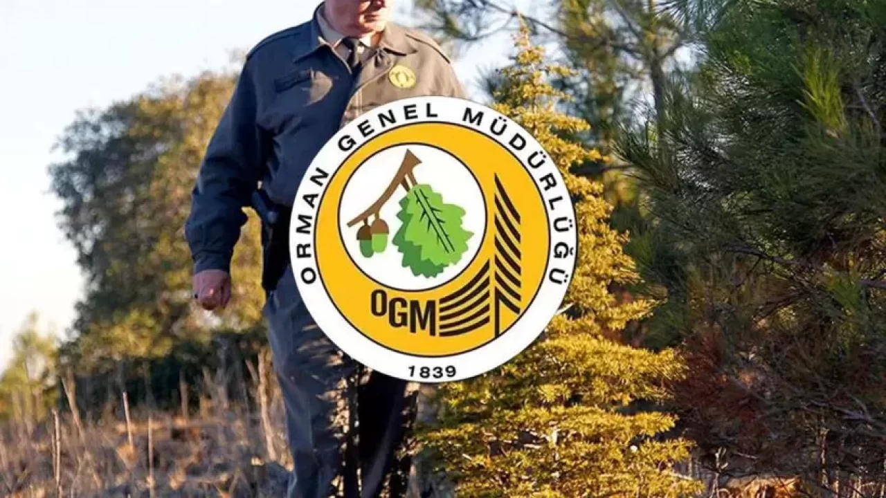 Tarım ve Orman Bakanlığı, 26 işçi alımı için ilan yayımladı