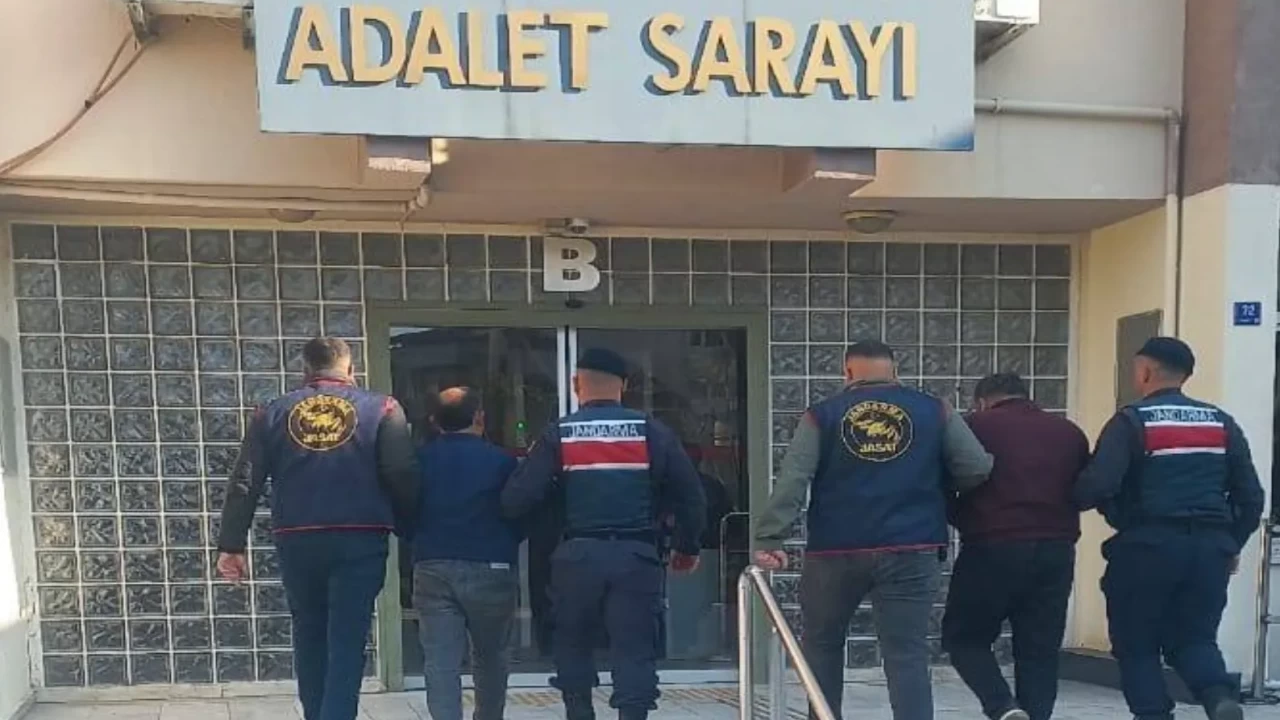 Aydın'da zeytin hırsızlığı! 400 kilo ürün fabrikaya satıldı