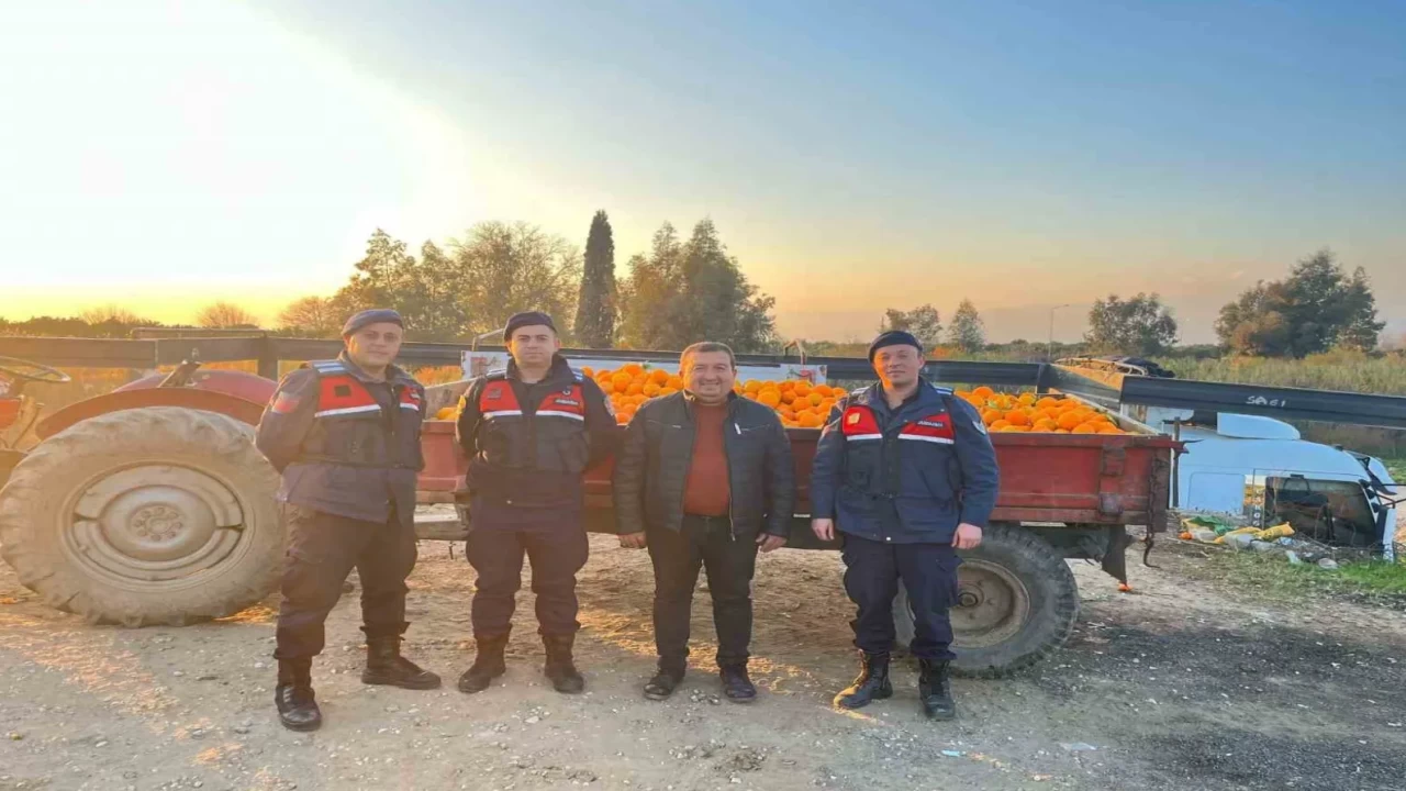 Nazilli’de 1,5 ton portakal çalındı! Jandarma müdahale etti