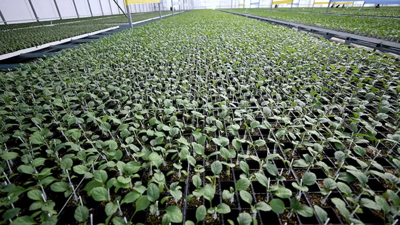 Fide sektöründe rekabet soruşturması: 18 şirket mercek altında