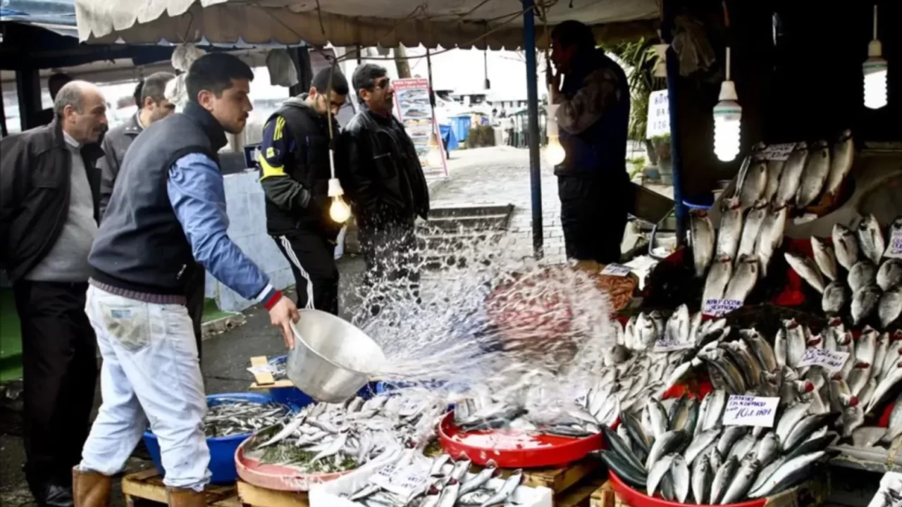 Aralık ayında hangi balık yenir? İşte mevsimin en lezzetli ve Omega-3 zengini balıkları