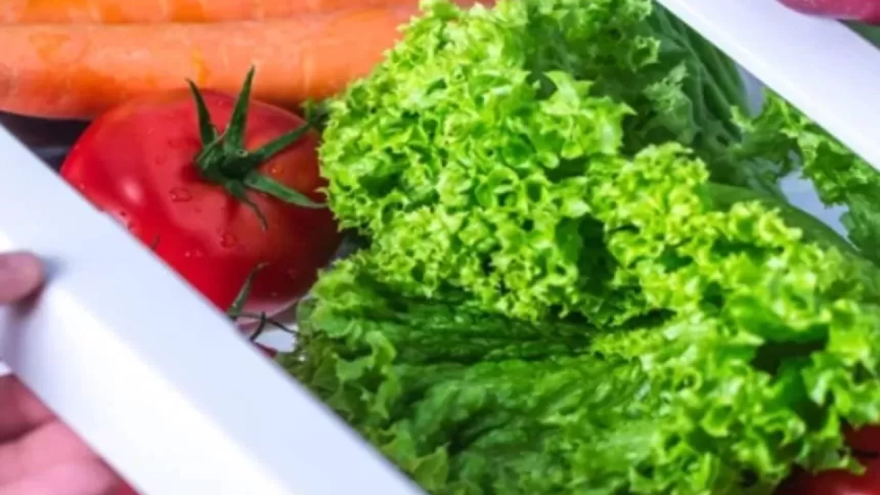 Gıdaların ömrünü uzatmanın yolları!