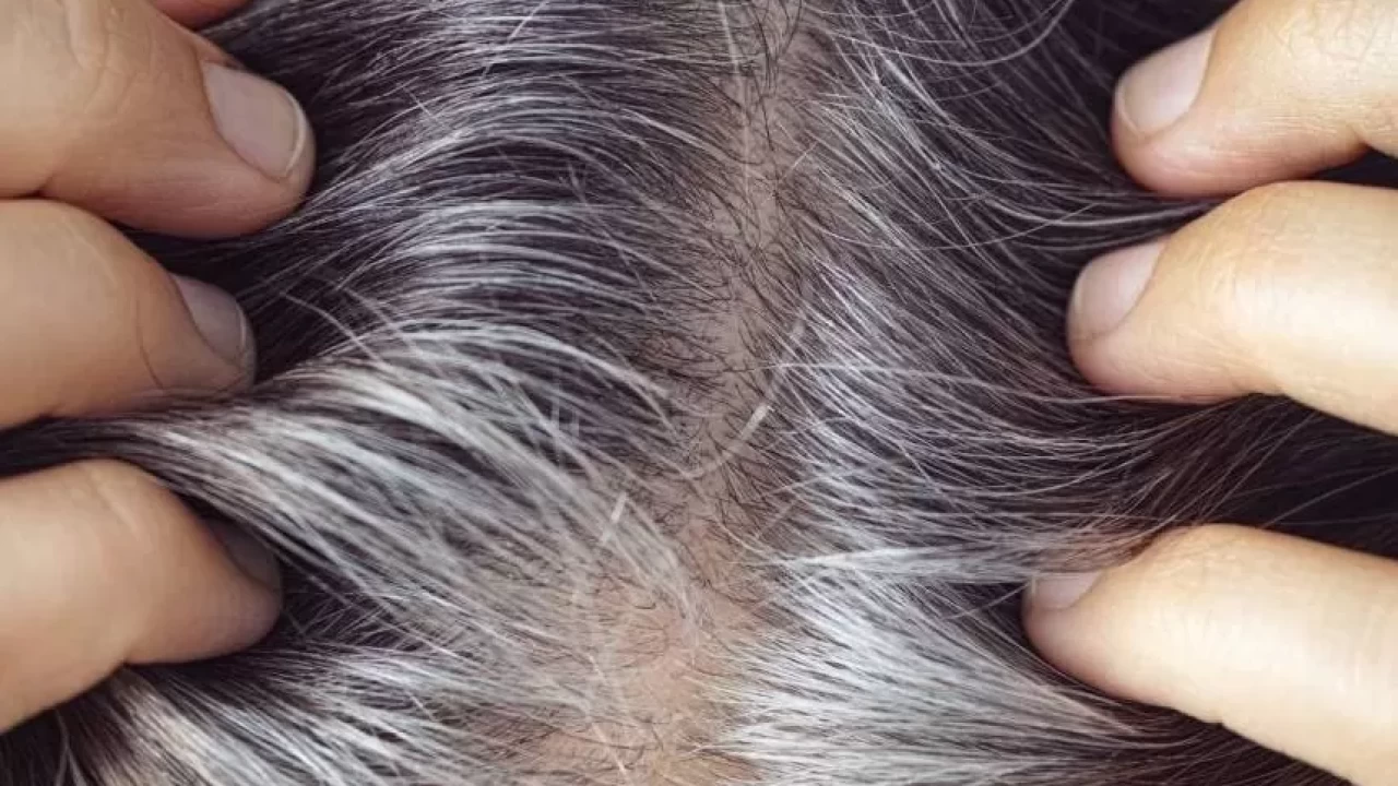 Kolay saç bakımı! Aloe vera maskesi ile dökülmeyi önleyin