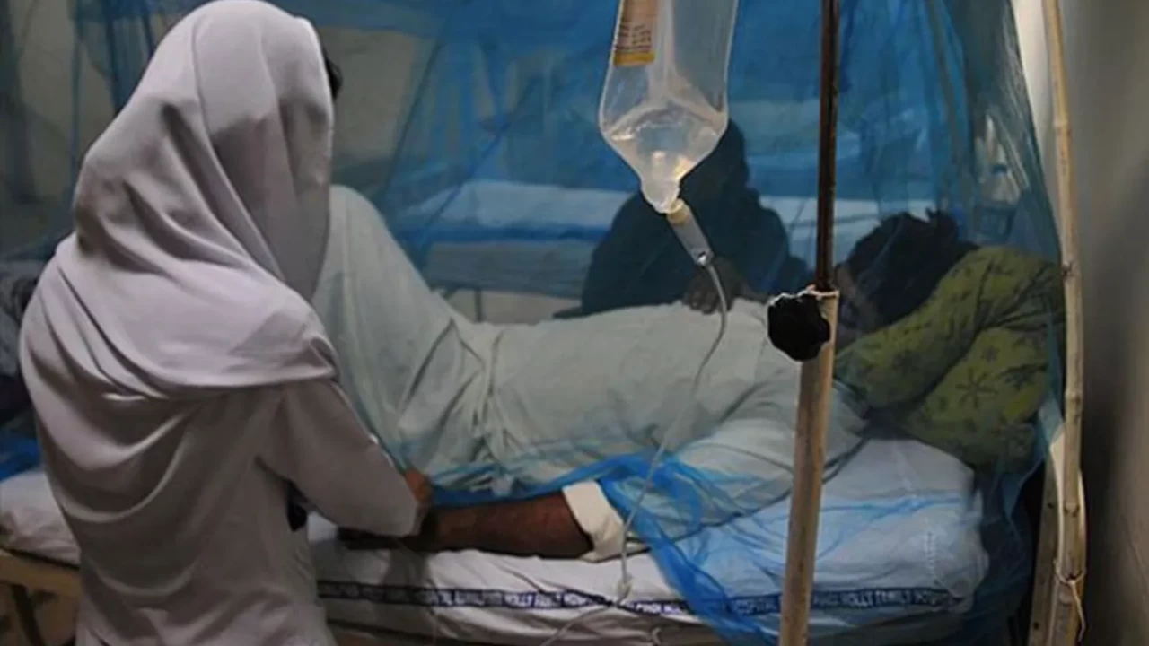 Nipah Virüsü Nedir, Belirtileri Neler? 30 Ocak 2026 Karantina ve Son Durum