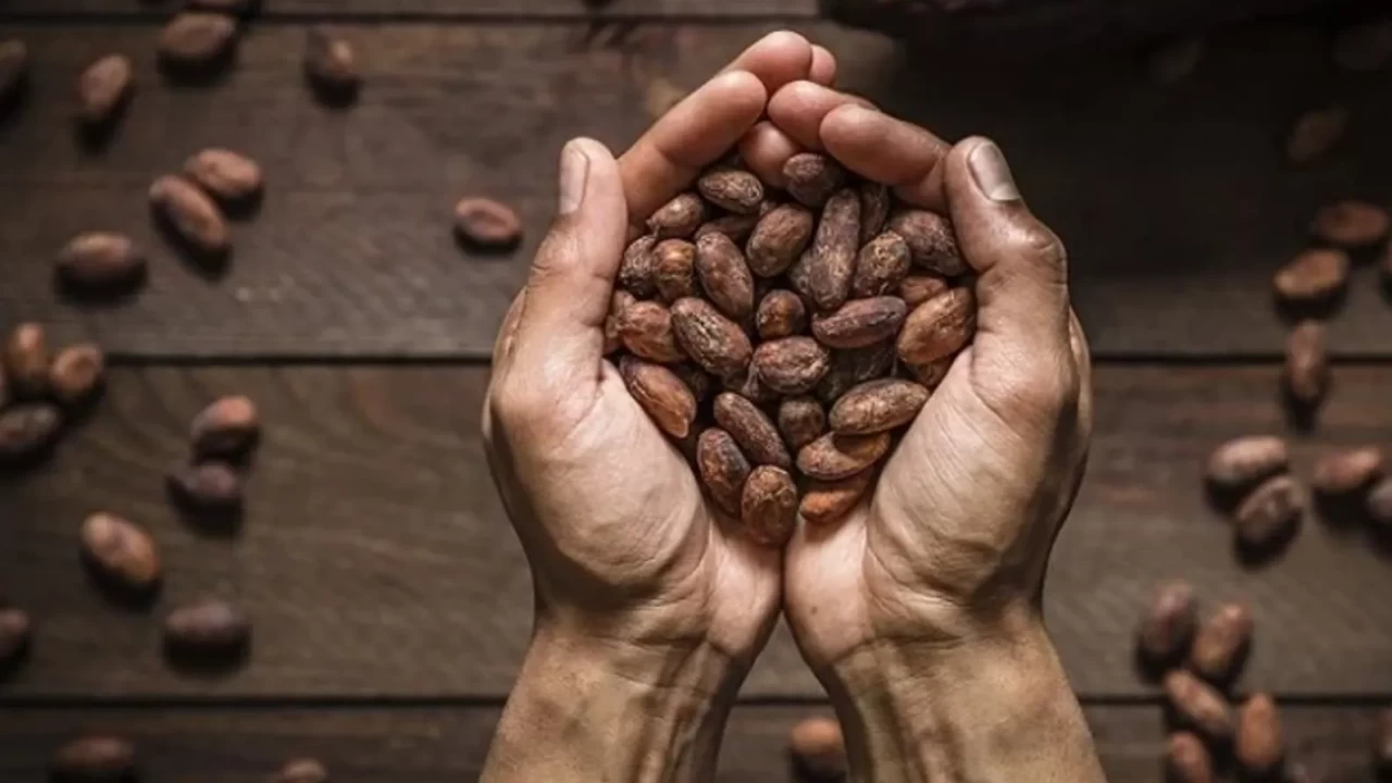 Kimse bu etkiyi bilmiyordu