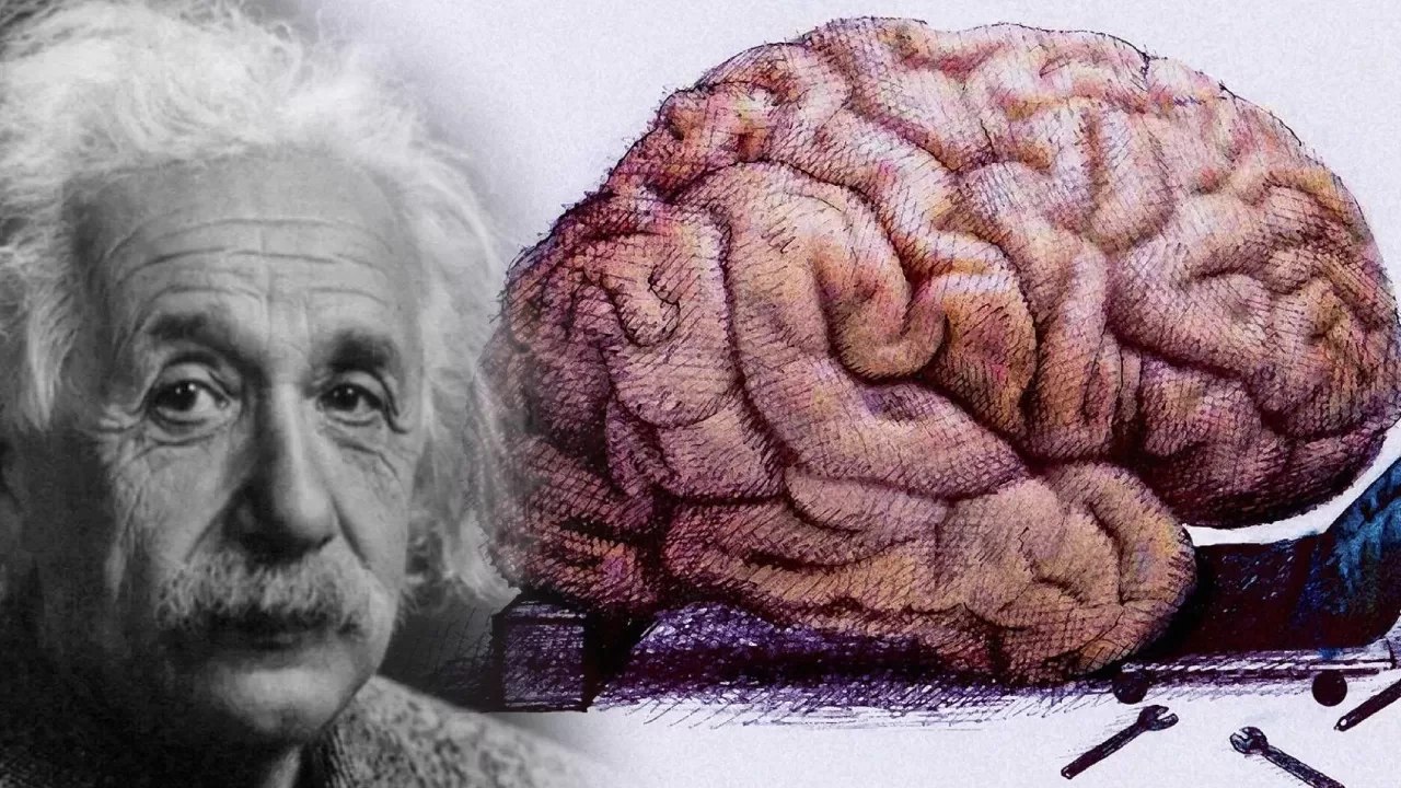 Beyni doğal yollarla geliştiren 7 adım. Sadece 7 dakika uygulamak bile yetiyor!