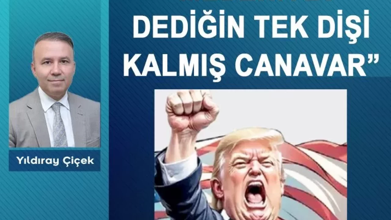 “Medeniyet dediğin tek dişi kalmış canavar”