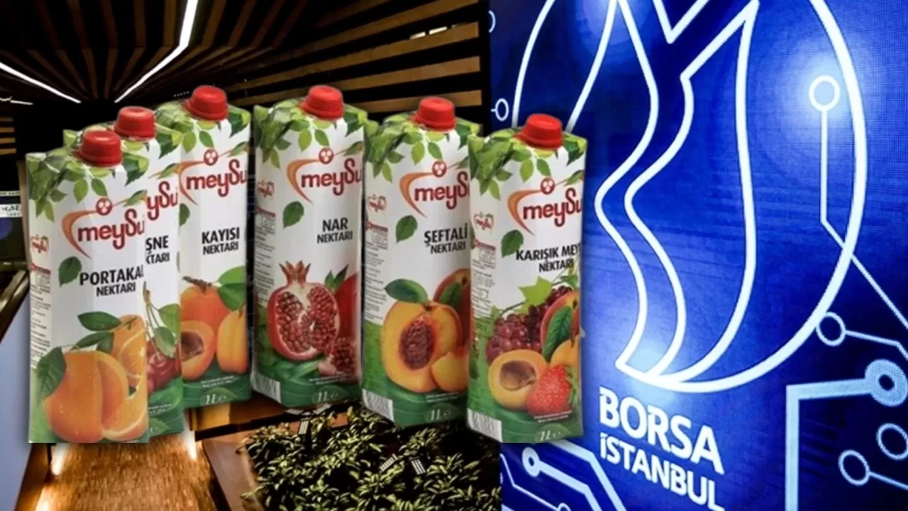 MEYSU halka arz haram mı helal mi? Meysu Gıda kişi başı kaç lot düşer?