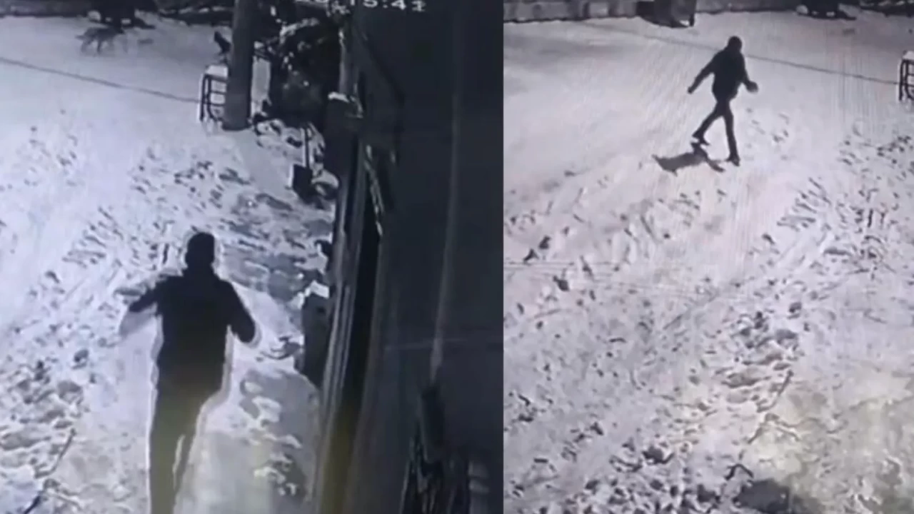 Çayını bıraktı, çaydanlığı kaptı : Bahçeye giren kurtları çaydanlıkla kovaladı!