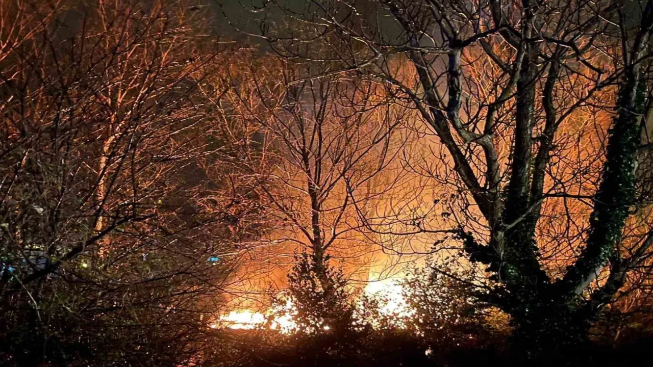 Zonguldak’ta alevler yükseldi! Filyos’ta ormanlık alanda yangın