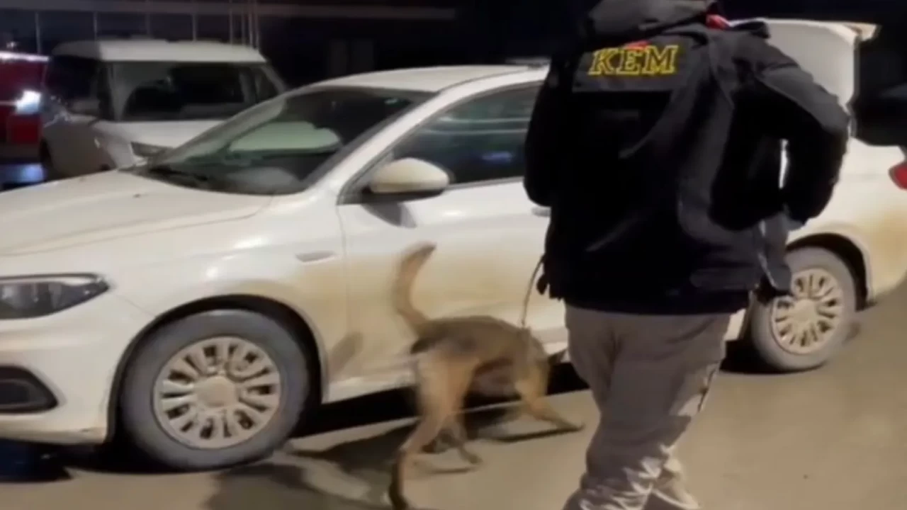 Kahramanmaraş’ta dev operasyon! Binlerce yasaklı madde ele geçirildi