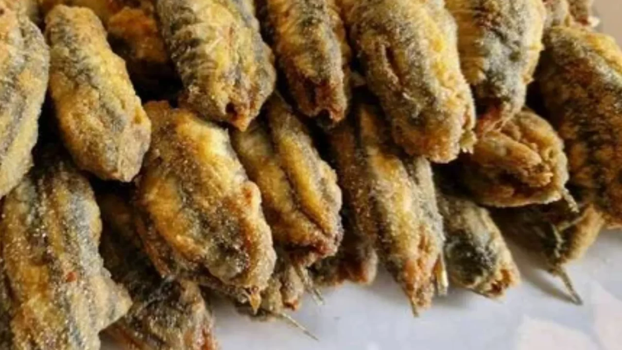Orijinal Hamsi Kuşu Tarifi: Malzemeleri ve Hazırlanışı