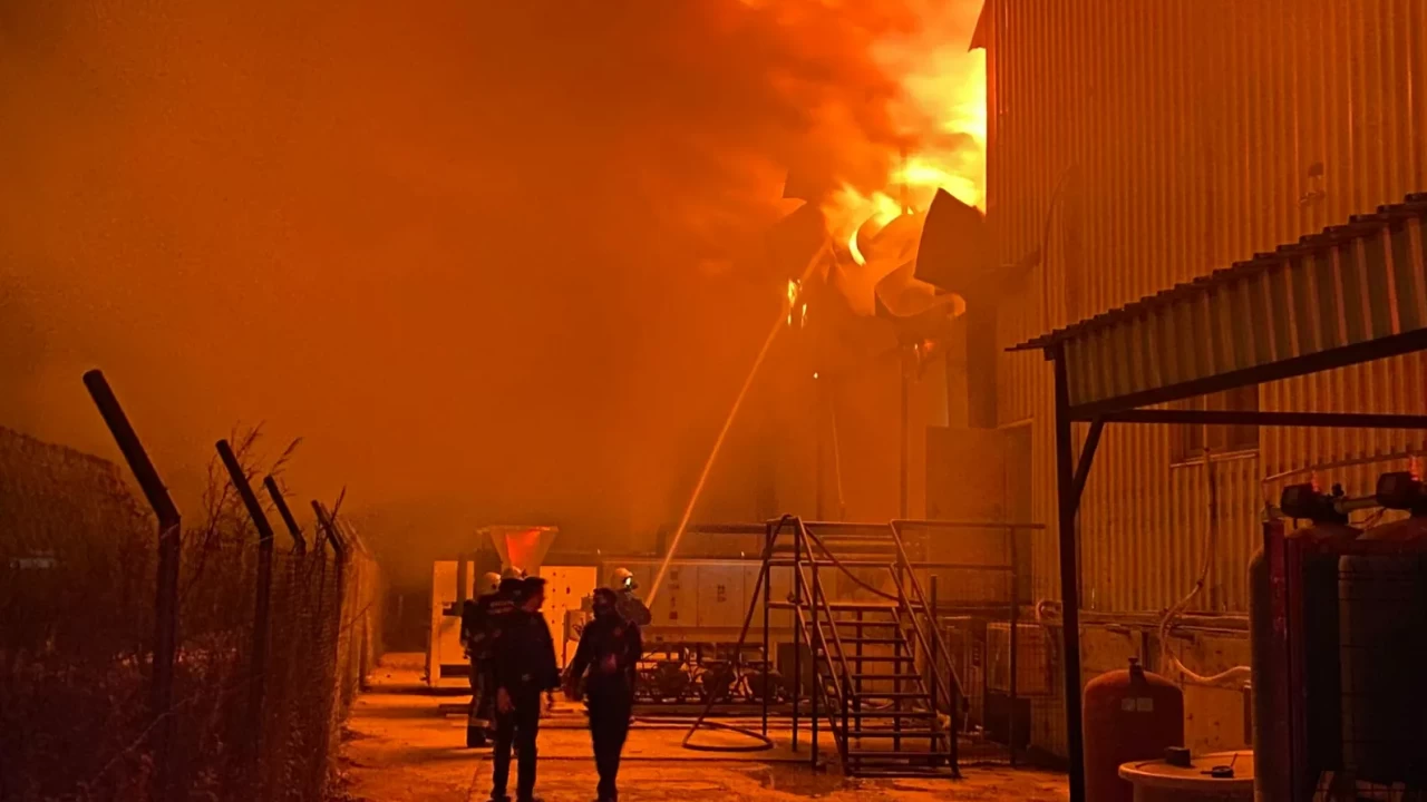 Antalya'da soğuk hava deposunda çıkan yangına müdahale ediliyor