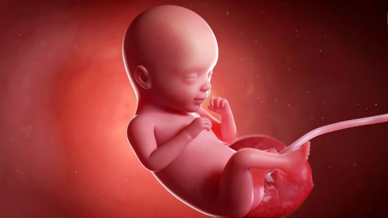 Hafta hafta hamilelik: Bebeğiniz hangi meyveye benziyor?