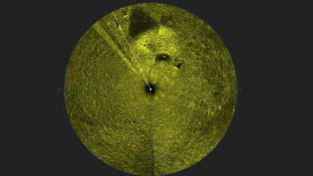 Yarım asırlık sır bitti! Fatih Terim'i yıkan kazada flaş gelişme