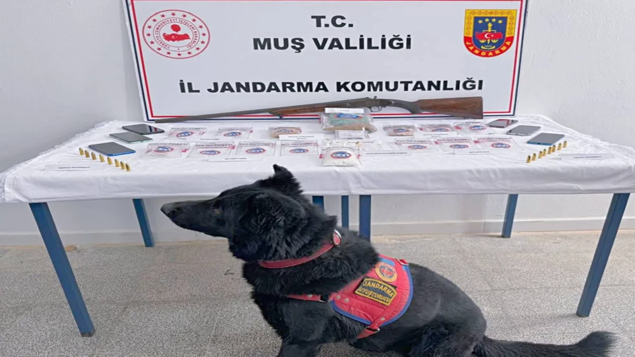 Muş’ta jandarma baskını! 5 kişi tutuklandı