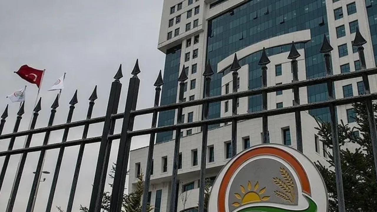 Tarım ve Orman Bakanlığı'ndan ithalat düzenlemeleri: Yeni yetkili gümrük müdürlükleri belirlendi!