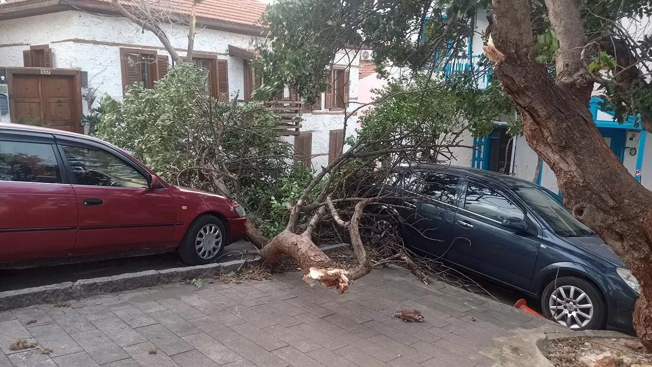 Kaş’ta şiddetli fırtına: Ağaçlar devrildi, elektrik direkleri zarar gördü