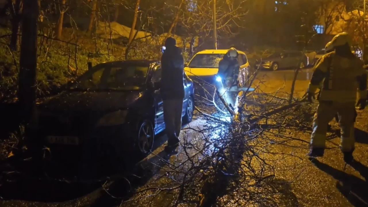 Beykoz’da fırtına alarmı: Devrilen ağaç 2 otomobilin üzerine düştü