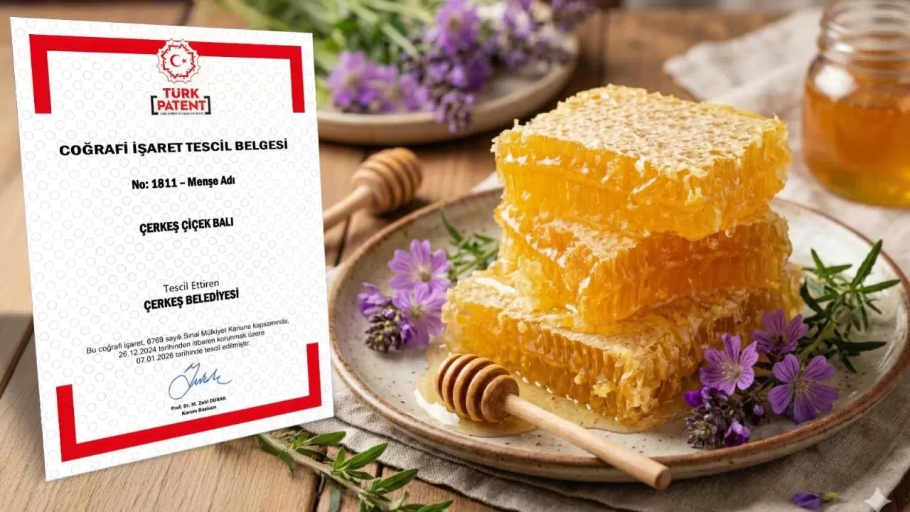 Çerkeş'e ait çiçek balı, coğrafi işaret tescilini aldı
