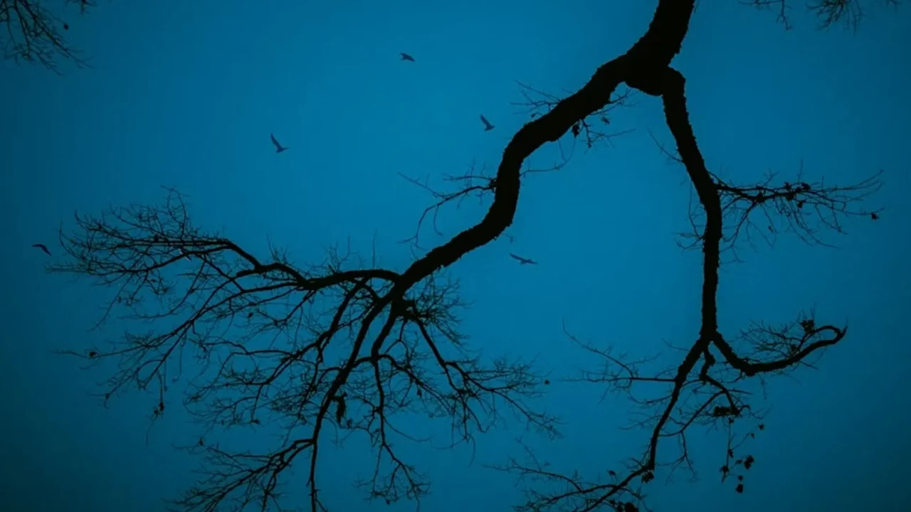 Mavi Pazartesi (Blue Monday) Nedir? 19 Ocak 2026 Detayları