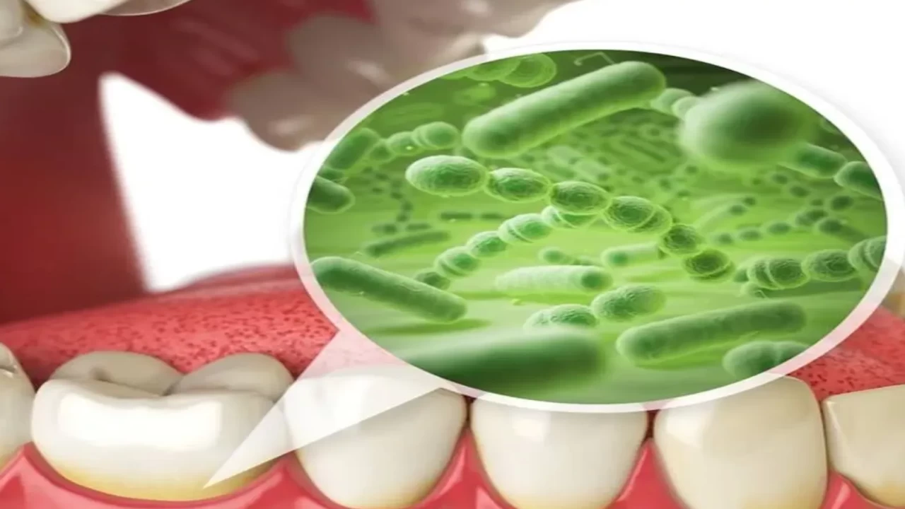 Çok hızlı kilo almanın nedeni nedir?Araştırmalar ağız sağlığına işaret ediyor!