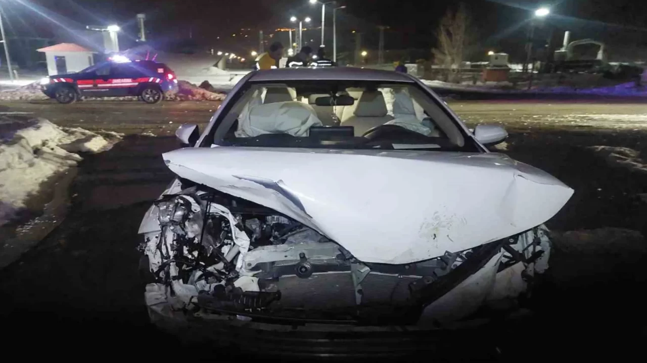 Bingöl’de gece yolunda korku dolu olay! Otomobil domuz sürüsüne daldı