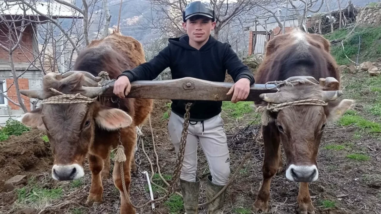 Aydın'da tartıştığı kuzenini av tüfeğiyle katletti!