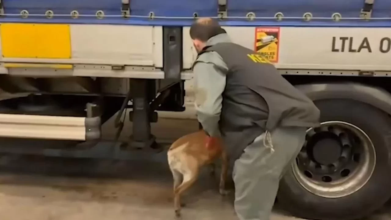 Sınırda dev darbe: 240 kilo narkotik ele geçirildi