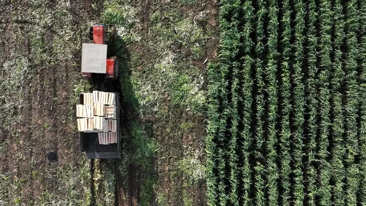 Antalya'daki sel felaketi sonrası TARSİM'den dev ödeme: Toplam 586 milyon lira