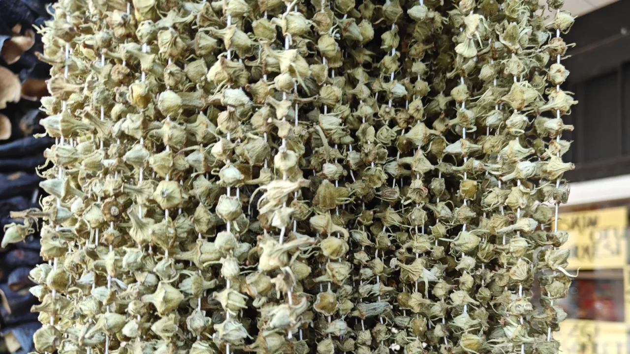 Çiçek bamya cep yakıyor! Ramazan ayının en pahalı lezzeti belli oldu