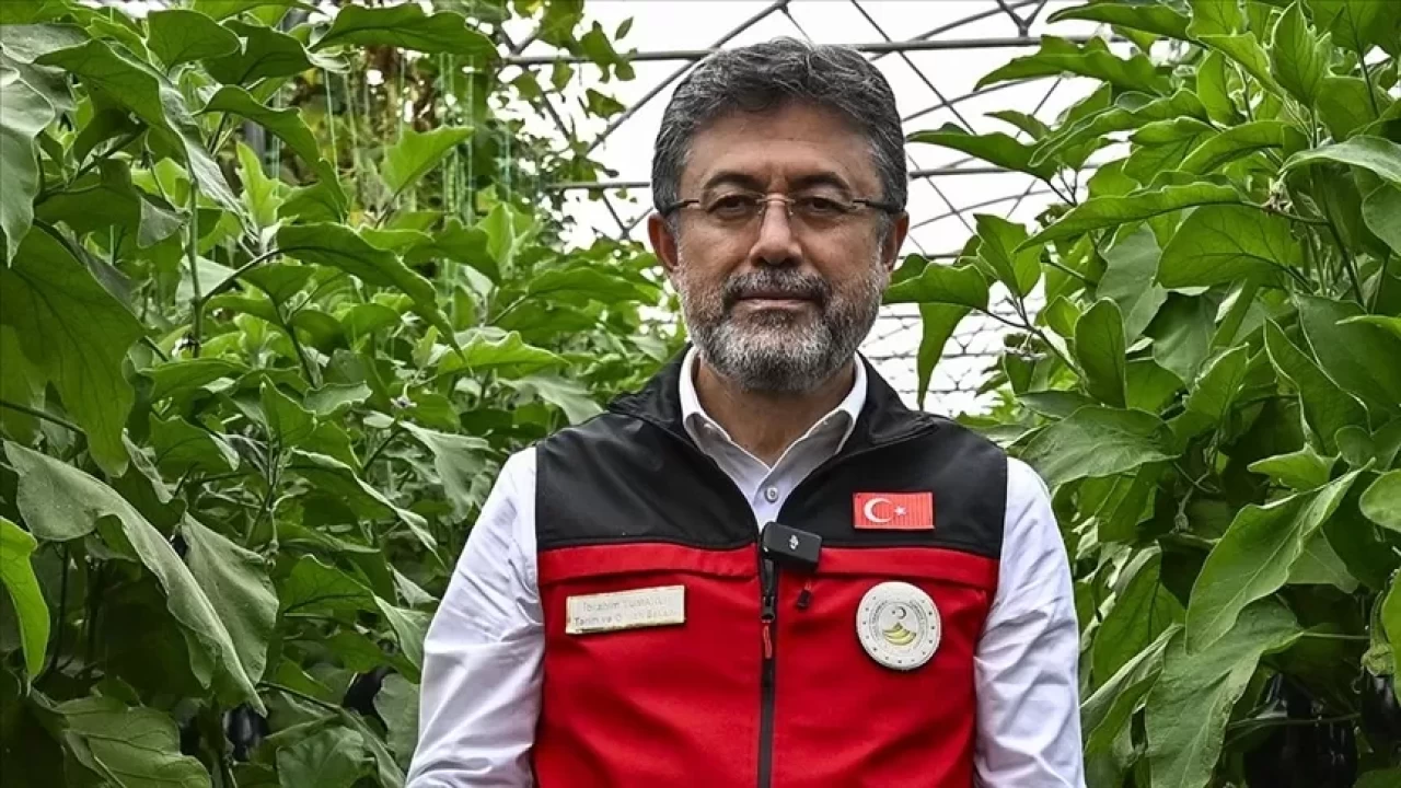 Türkiye 117 ülkeye tohum ihraç ediyor: 368 milyon dolarlık ihracat