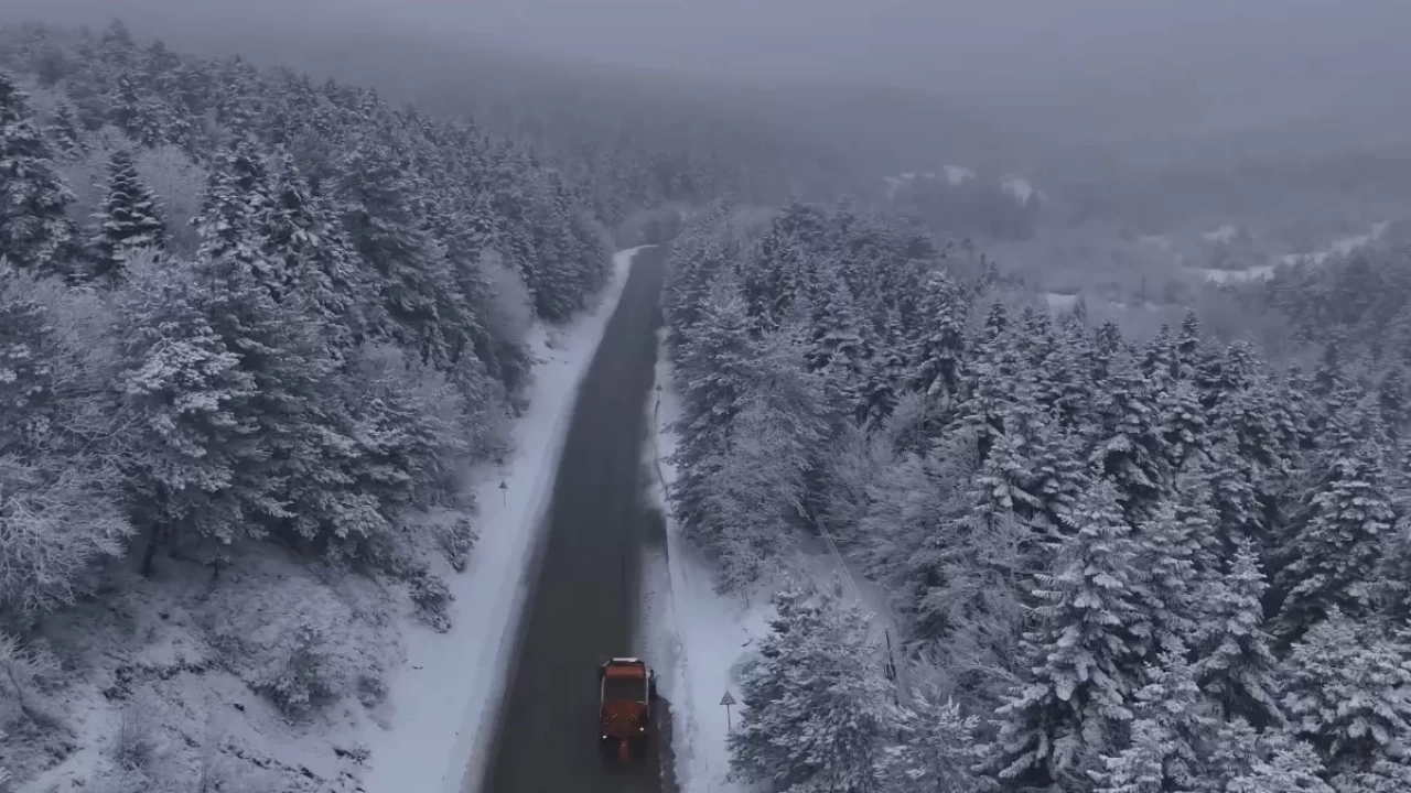 Karla kaplı Pülümür Vadisi'nde kurt gözlemlendi: Doğanın krallığına dikkat