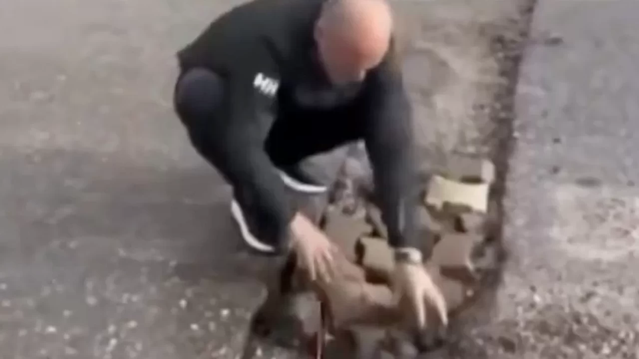 İzmir’de belediyecilik çöktü: Çukuru vatandaş kapattı