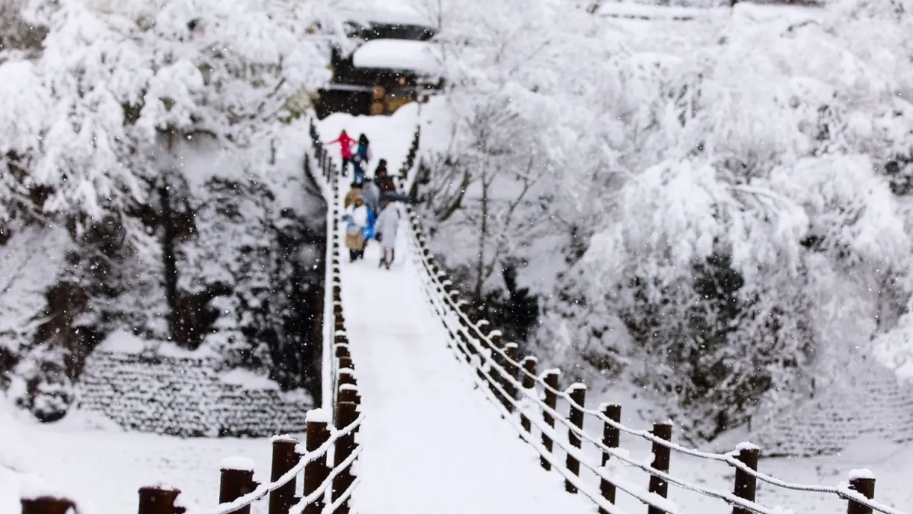 20 günde 35 ölü, yüzlerce yaralı! Sert kış şartları can almaya devam ediyor