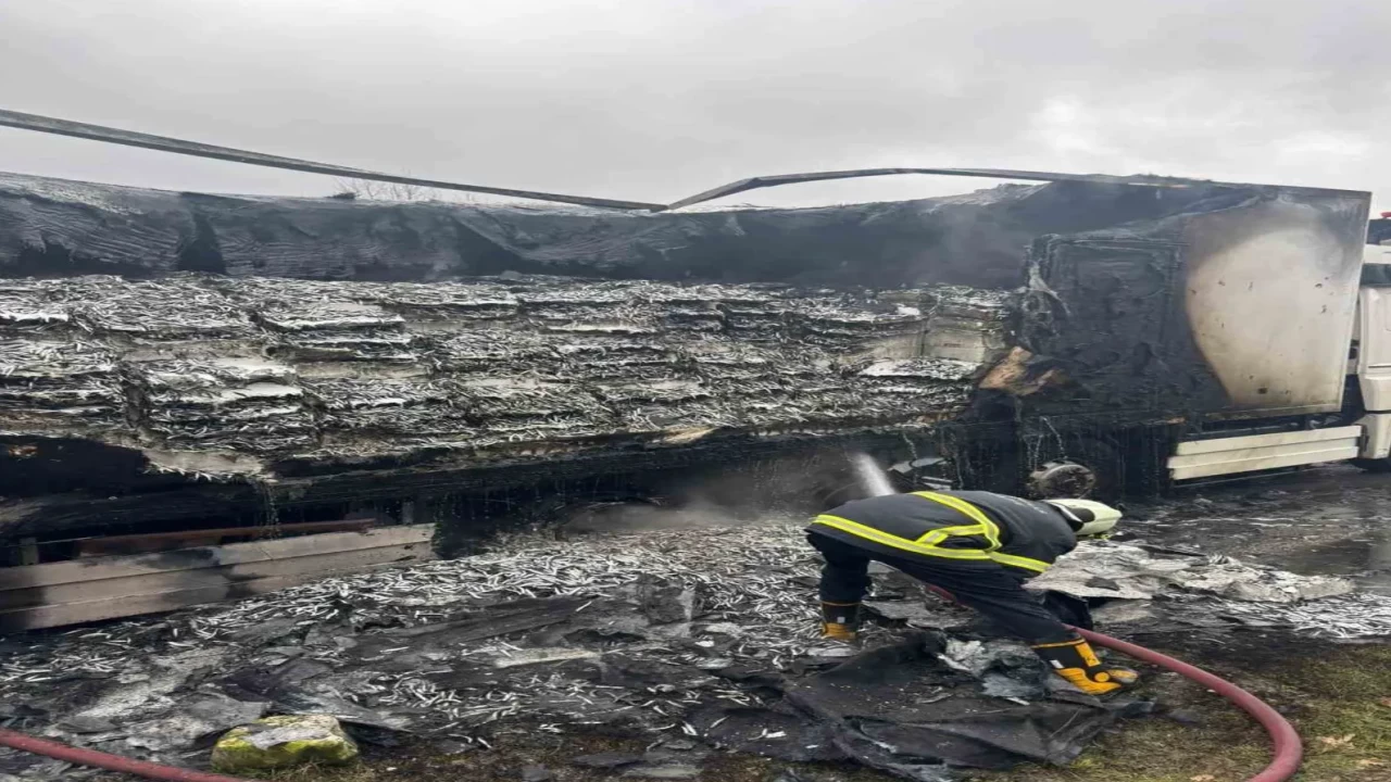 Hamsi yüklü tır alev alev yandı! Olay yerine ekipler sevk edildi