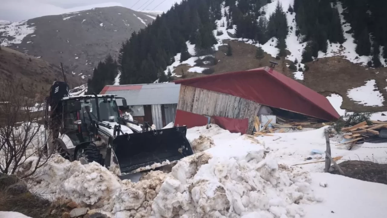 Ordu’da obada evin üzerine çığ düştü!