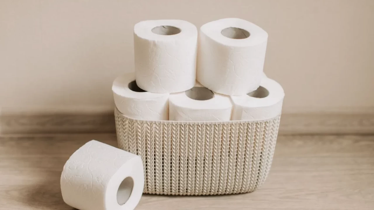 Stokçuluk mu, tasarruf mu? Tuvalet kağıdı depolamanın görünmeyen riskleri ve püf noktaları!