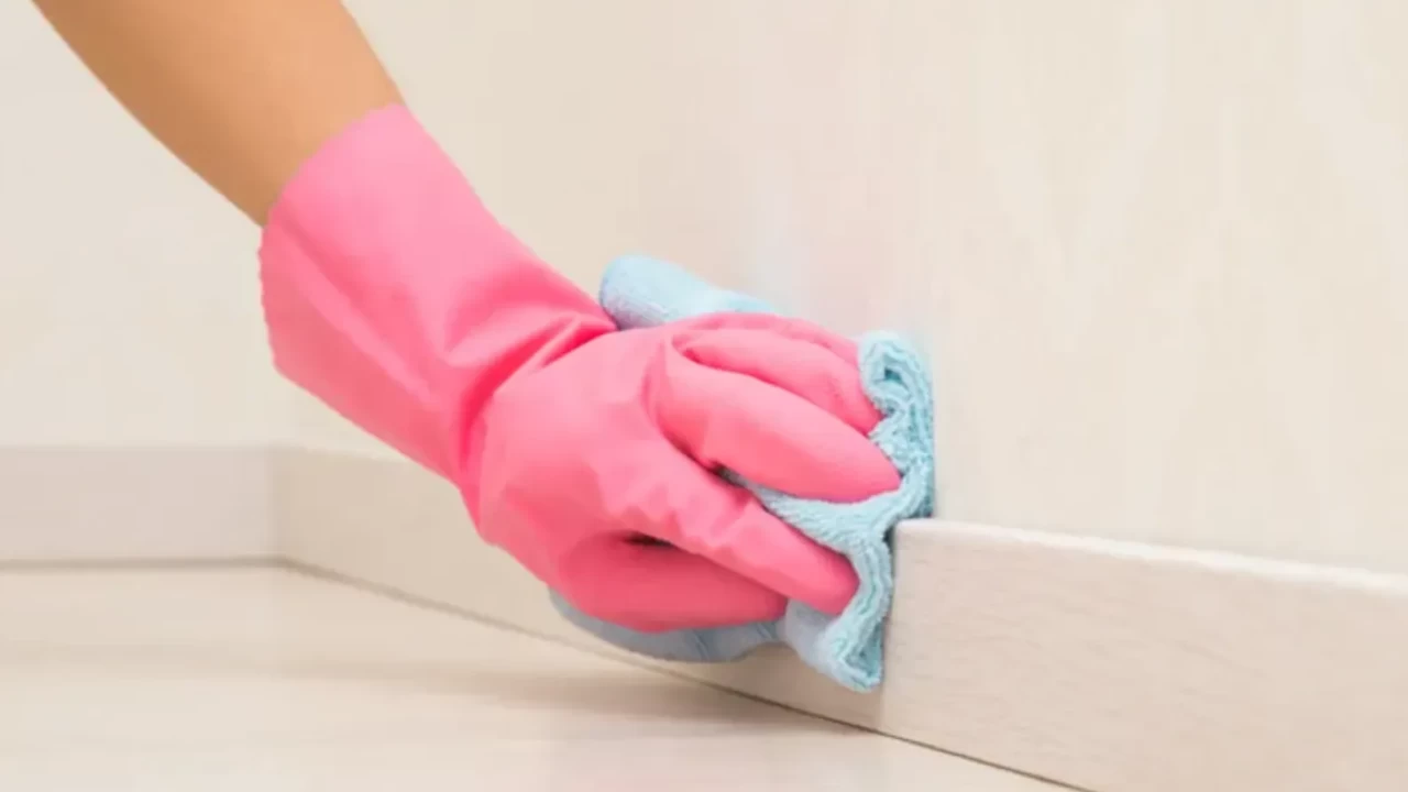 Ev temizliğinde çoğu zaman gözden kaçan detay ortaya çıktı