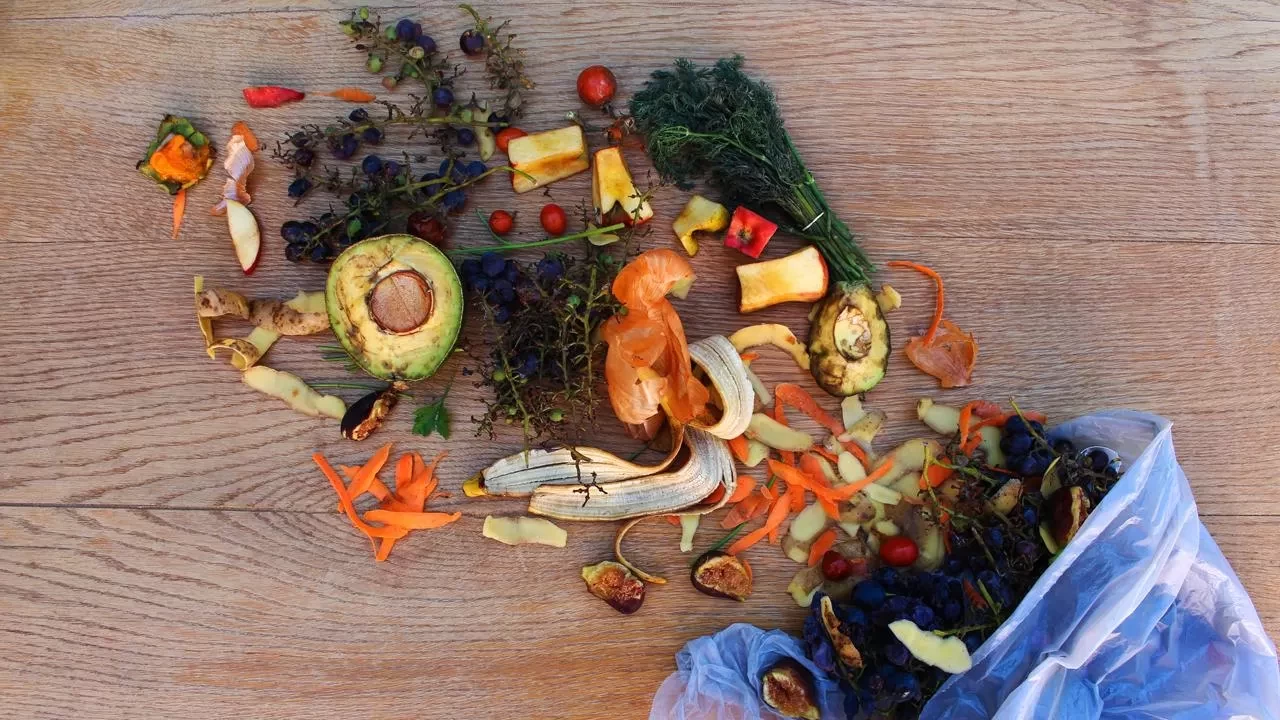 Dünyada açlık ve israf çelişkisi! Milyonlar açken gıdanın üçte biri çöpe gidiyor