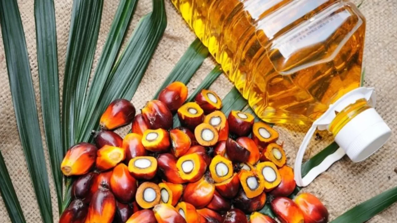Palm yağı sağlığınızı tehdit ediyor!